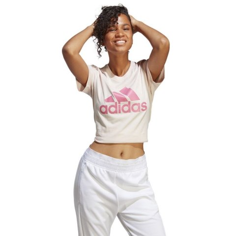 Koszulka adidas Big Logo Tee W IB9455 Adidas