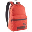 Plecak Puma Phase III 90118 02 Puma
