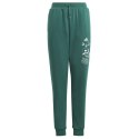 Spodnie adidas BLUV Q3 Pant Jr IA1553 Adidas