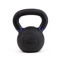 Odważnik tiguar kettlebell Raw V2 16kg TI-KB0016RV2 Tiguar