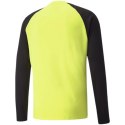 Bluza bramkarska Puma teamPACER GK LS M 704933 42 Puma