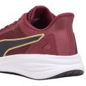 Buty do biegania Puma Transport Modern M 377030 12 Puma