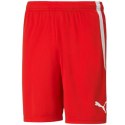 Spodenki Puma teamLIGA M 704924 01 Puma