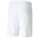 Spodenki Puma teamLIGA M 704924 04 Puma