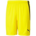 Spodenki Puma teamLIGA M 704924 07 Puma