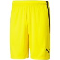Spodenki Puma teamLIGA M 704924 07 Puma