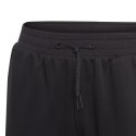 Spodnie adidas BLUV Q3 Pant Jr IA1552 Adidas