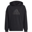 Bluza adidas FI Logo HD Jr HR6301 Adidas