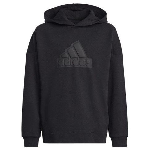 Bluza adidas FI Logo HD Jr HR6301 Adidas