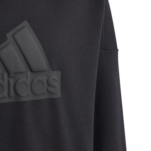 Bluza adidas FI Logo HD Jr HR6301 Adidas