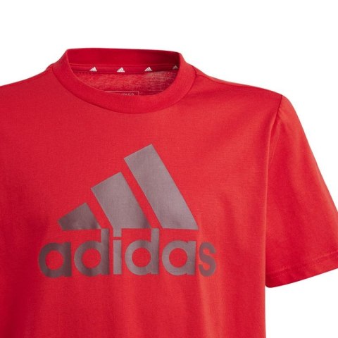 Koszulka adidas Big Logo Tee Jr IJ6262 Adidas