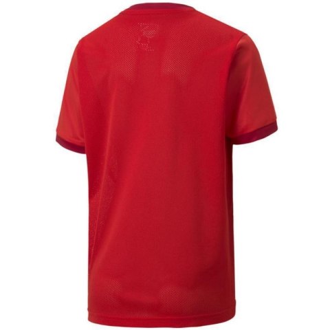Koszulka Puma teamGOAL 23 Jersey Jr 704160 01 Puma
