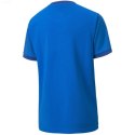 Koszulka Puma teamGOAL 23 Jersey Jr 704160 02 Puma