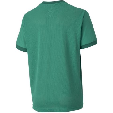 Koszulka Puma teamGOAL 23 Jersey Jr 704160 05 Puma
