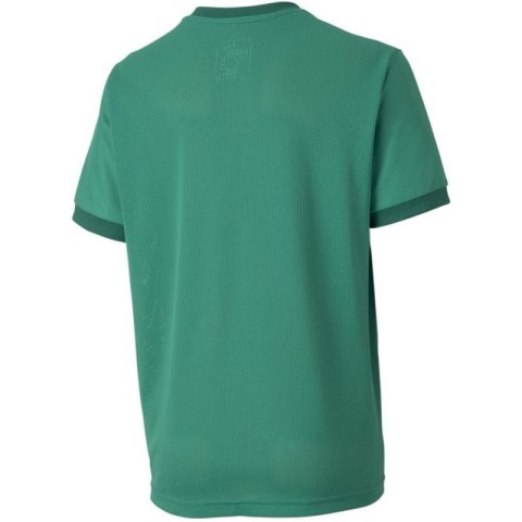 Koszulka Puma teamGOAL 23 Jersey Jr 704160 05 Puma