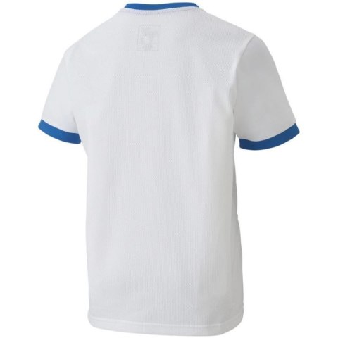Koszulka Puma teamGOAL 23 Jersey Jr 704160 12 Puma