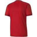 Koszulka Puma teamGOAL 23 Jersey M 704171 01 Puma