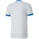 Koszulka Puma teamGOAL 23 Jersey M 704171 12 Puma