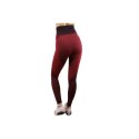 Legginsy GymHero Leggins W RUSTY GymHero