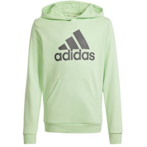 Bluza adidas Big Logo Hoodie Jr IS2591 Adidas