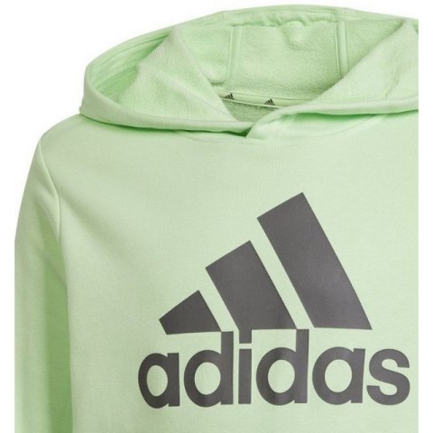 Bluza adidas Big Logo Hoodie Jr IS2591 Adidas