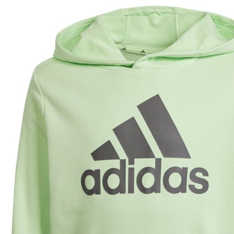 Bluza adidas Big Logo Hoodie Jr IS2591 Adidas