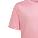 Koszulka adidas Tabela 23 Jersey Jr IA9154 Adidas