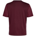 Koszulka adidas Tabela 23 Jersey Jr IB4933 Adidas