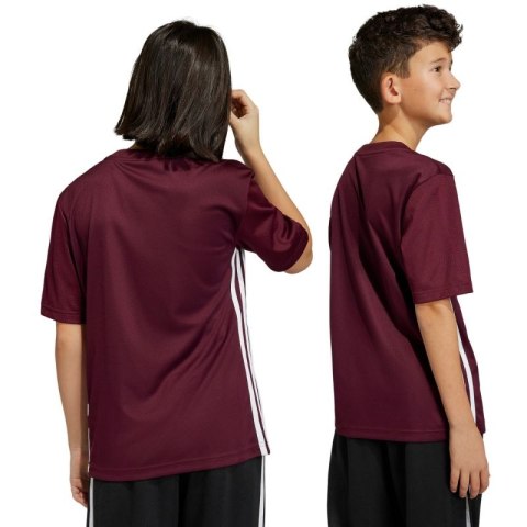 Koszulka adidas Tabela 23 Jersey Jr IB4933 Adidas