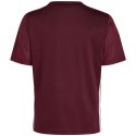 Koszulka adidas Tabela 23 Jersey Jr IB4933 Adidas