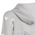 Bluza adidas Biuv Zip Hoodie Jr IS3755 Adidas