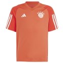 Koszulka adidas FC Bayern Training JSY Jr IQ0613 Adidas