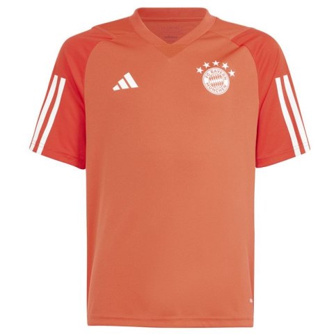 Koszulka adidas FC Bayern Training JSY Jr IQ0613 Adidas