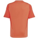 Koszulka adidas FC Bayern Training JSY Jr IQ0613 Adidas