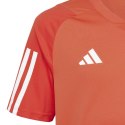 Koszulka adidas FC Bayern Training JSY Jr IQ0613 Adidas