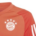 Koszulka adidas FC Bayern Training JSY Jr IQ0613 Adidas