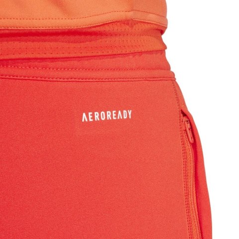 Spodnie adidas FC Bayern Training Panty M IQ0605 Adidas