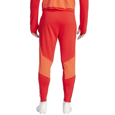 Spodnie adidas FC Bayern Training Panty M IQ0605 Adidas