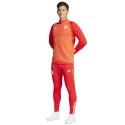 Spodnie adidas FC Bayern Training Panty M IQ0605 Adidas
