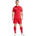 Spodenki adidas Tiro 24 Competition Training M IK2245 Adidas