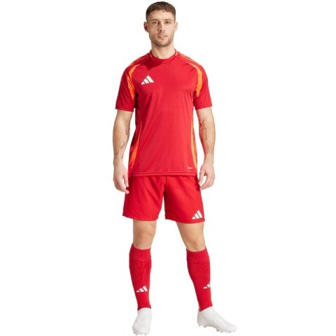 Spodenki adidas Tiro 24 Competition Training M IK2245 Adidas