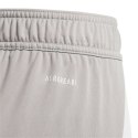 Spodenki adidas Tiro 24 Jr IT2408 Adidas