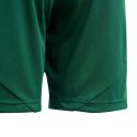 Spodenki adidas Tiro 24 Jr IT2409 Adidas