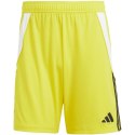 Spodenki adidas Tiro 24 M IS1409 Adidas