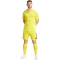 Spodenki adidas Tiro 24 M IS1409 Adidas