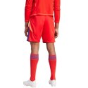 Spodenki adidas Tiro 24 M IT2416 Adidas