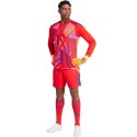 Spodenki adidas Tiro 24 M IT2416 Adidas