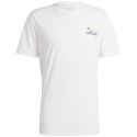 Koszulka adidas Tennis APP M II5917 Adidas