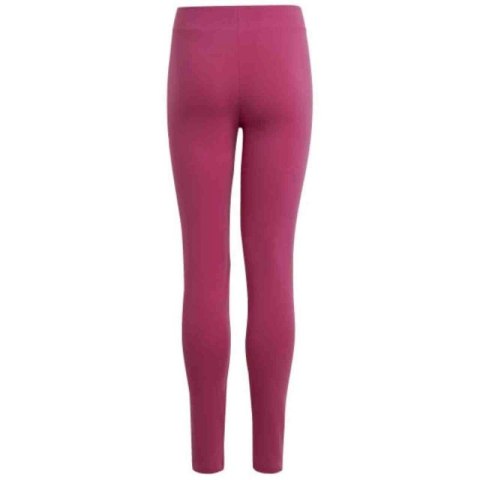 Legginsy adidas Essentials Linear Logo Cotton Tights Jr IC3581 Adidas