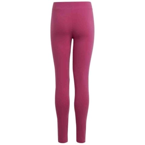 Legginsy adidas Essentials Linear Logo Cotton Tights Jr IC3581 Adidas